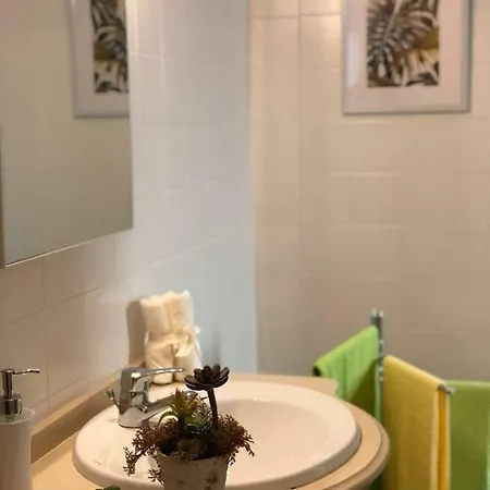 Apartment Casas Lr *