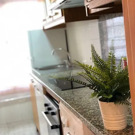 Casas Lr Apartment Nazaré